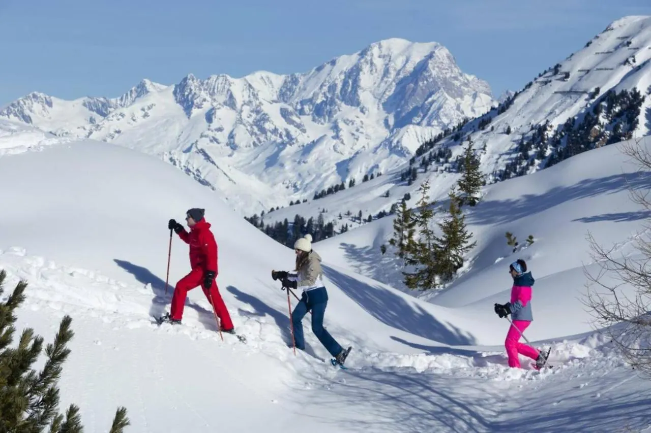 Appartement Belle Plagne La Plagne-Tarentaise